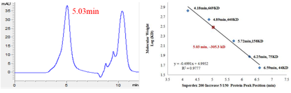 CHEK2(CHK2) GST Tag Protein, Human