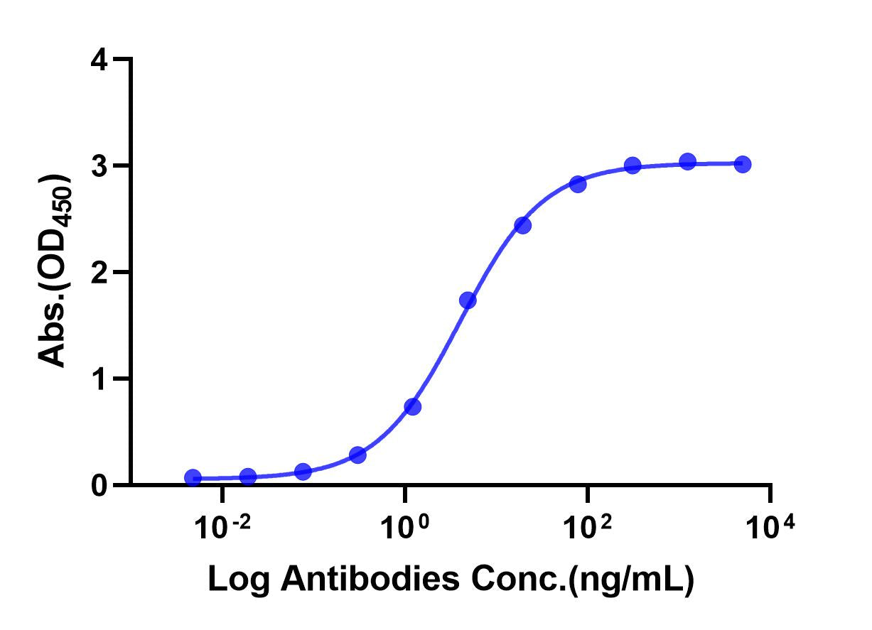 Anti-Human VEGFR-2 Monoclonal Antibody (Ramucirumab)