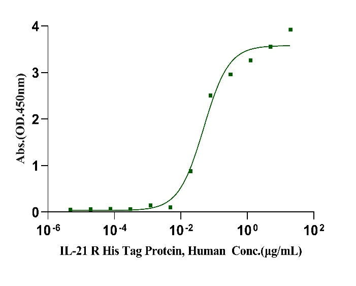 IL-21 R His Tag Protein, Human