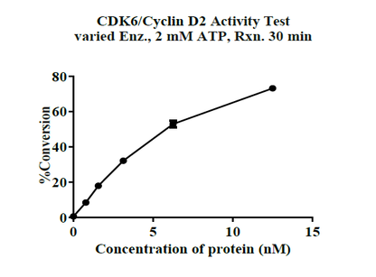 CDK6/Cyclin D2 Protein