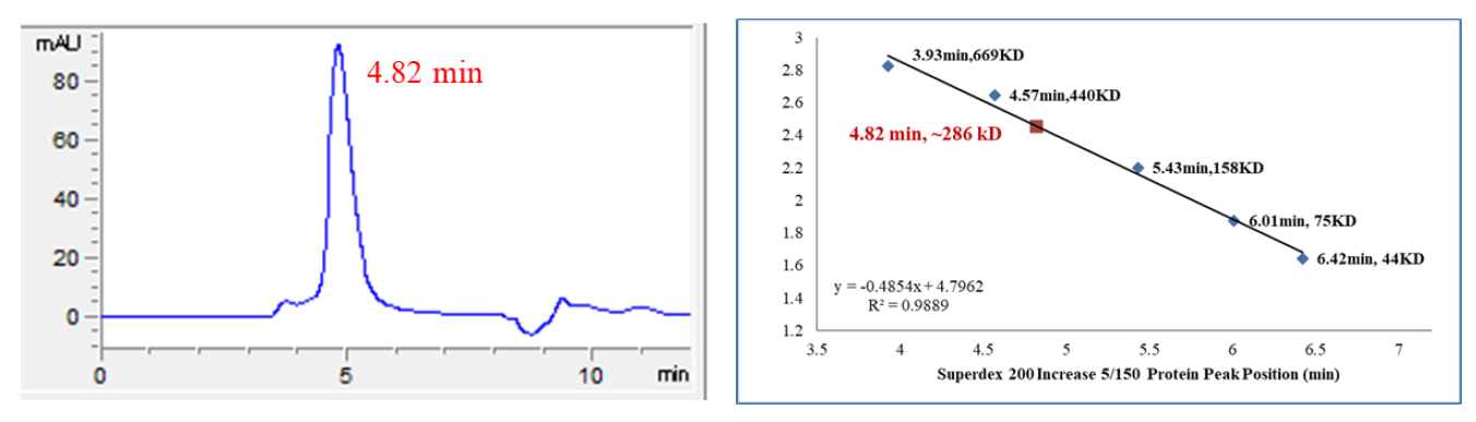 CDK3/Cyclin E2 Protein