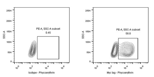 Myc tag Recombinant Rabbit mAb (PE Conjugate) (S-114-13)