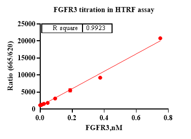 FGFR3 Protein