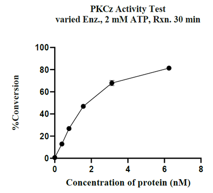 PRKCZ(PKCz) GST Tag Protein, Human