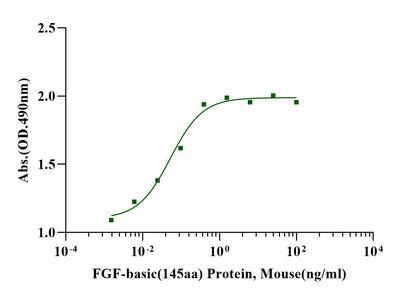 FGF-basic (145aa) Protein, Mouse