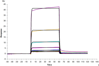 B7-H5/VISTA Fc Chimera Protein, Human