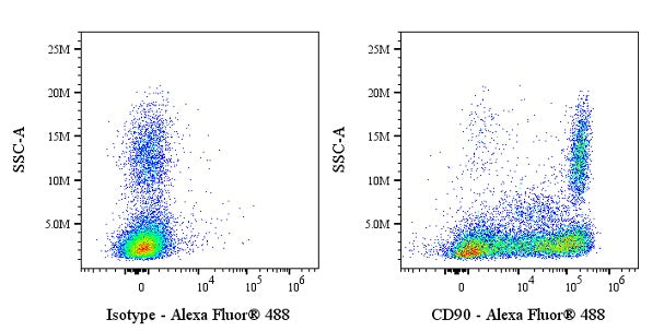 Alexa Fluor® 488 Mouse Anti-Human/ Monkey CD90 Antibody (5E10)