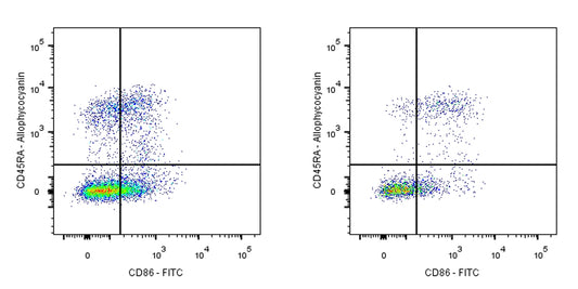 FITC Mouse Anti-Rat CD86 Antibody (24F)