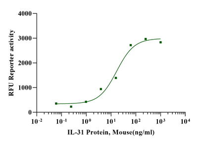 IL-31 Protein, Mouse