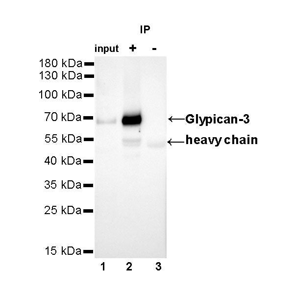 Product image media