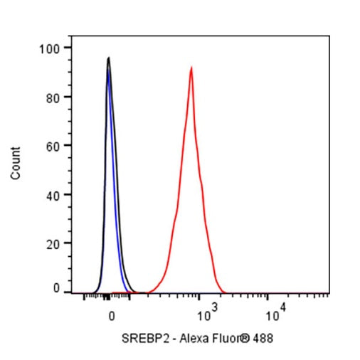 SREBP2 Recombinant Rabbit mAb (S-2701-1)