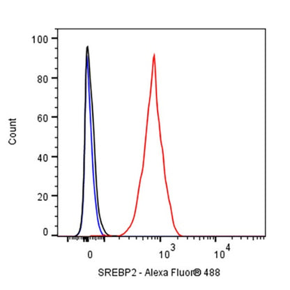 SREBP2 Recombinant Rabbit mAb (S-2701-1)