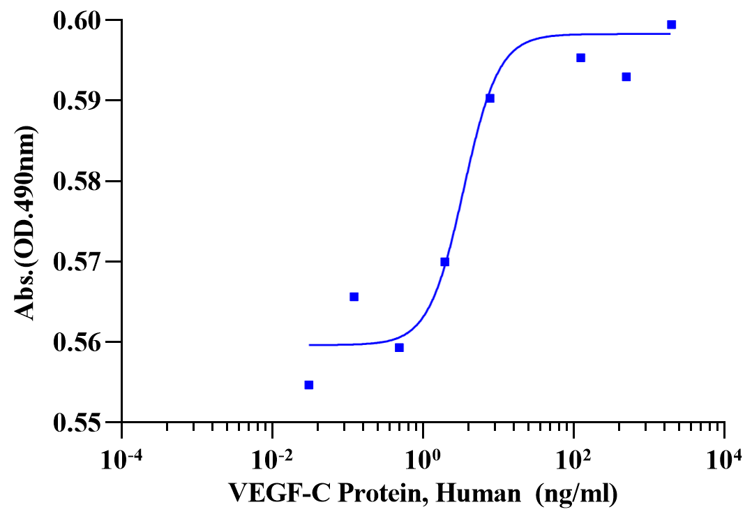 VEGF-C Protein, Human