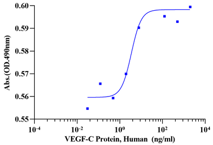 VEGF-C Protein, Human