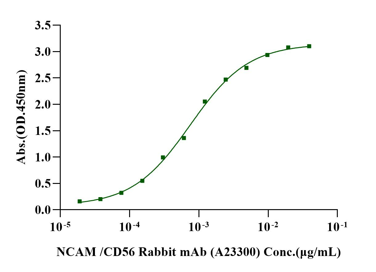 NCAM-1/CD56 His Tag Protein, Mouse