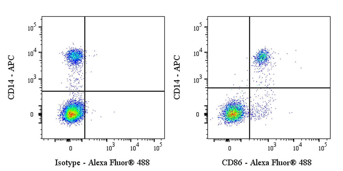 Alexa Fluor® 488 Rabbit Anti-Human CD86 Antibody (S-990-1)