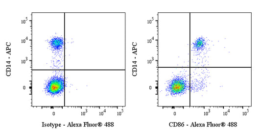 Alexa Fluor® 488 Rabbit Anti-Human CD86 Antibody (S-990-1)