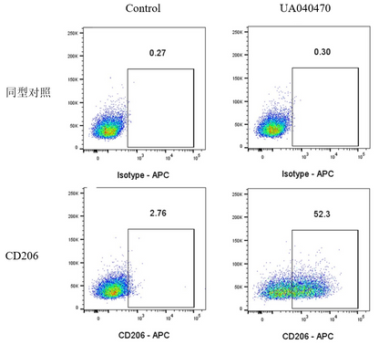 IL-4 Protein, Mouse