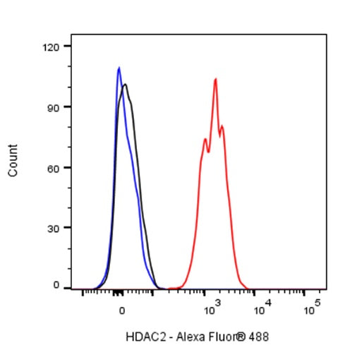 HDAC2 Recombinant Rabbit mAb (S-1474-27)