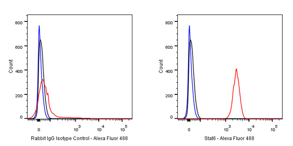 S-RMab®Rabbit mAb IgG Isotype Control (S-R058)