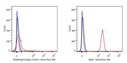 S-RMab®Rabbit mAb IgG Isotype Control (S-R058)