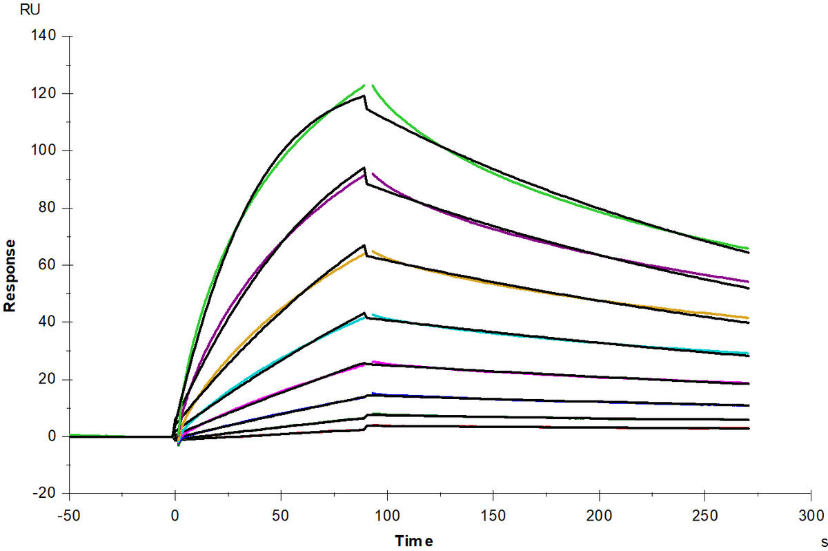ACVR2A mFc Chimera Protein, Mouse