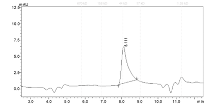 TYK2(JH2) Protein