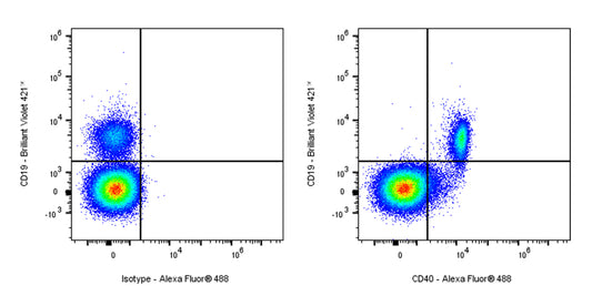 Alexa Fluor® 488 Mouse Anti-Human CD40 Antibody (HI40a)