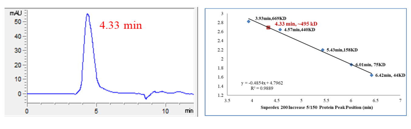 CDK9/Cyclin T2 Protein