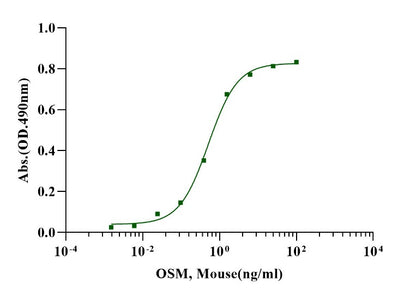 OSM Protein, Mouse