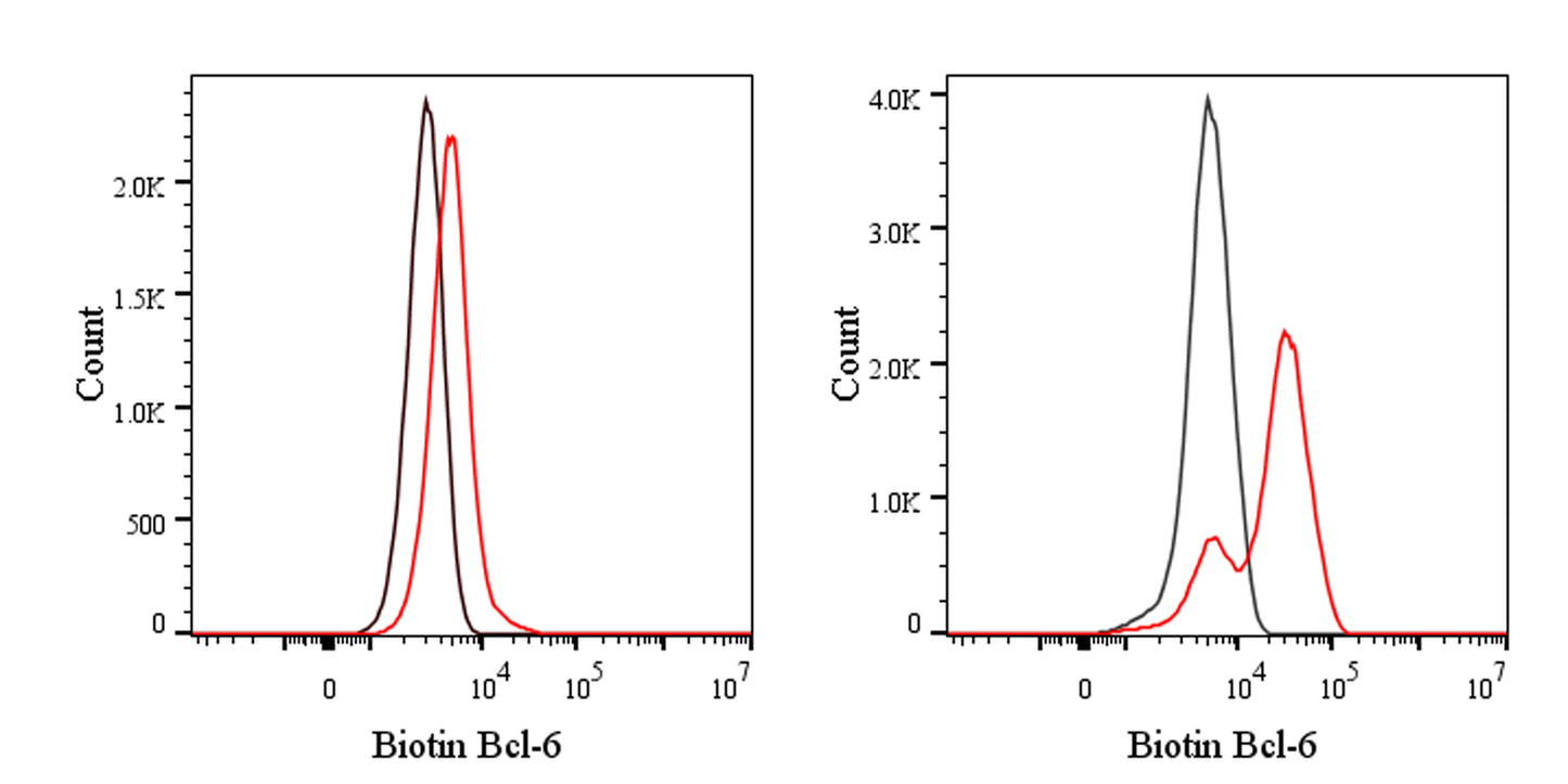 Biotin Mouse Anti-Human BCL-6 Antibody (S-R634)