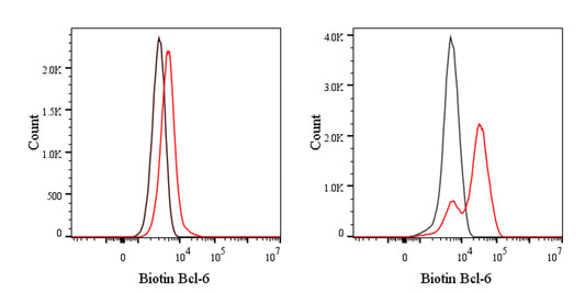 Biotin Mouse Anti-Human BCL-6 Antibody (S-R634)