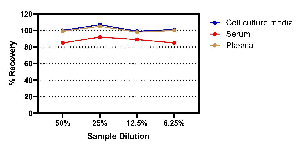Human IL-12 P70 Onestep ELISA Kit
