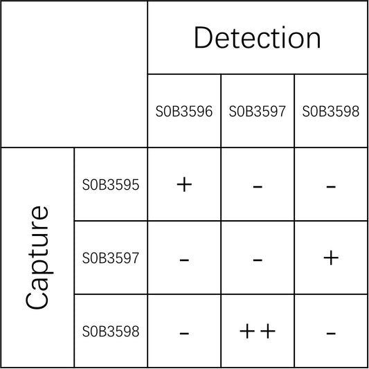 TNF-R2 Recombinant Rabbit mAb (SDT-2099-418)