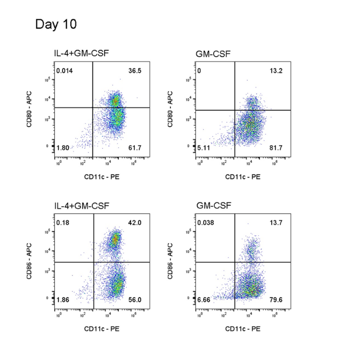 BMDC Differentiation Cytokine Set, Mouse