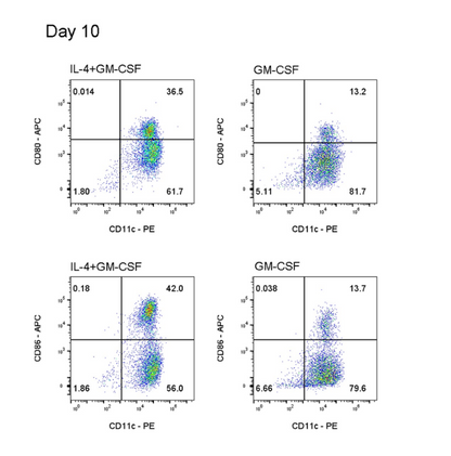 BMDC Differentiation Cytokine Set, Mouse