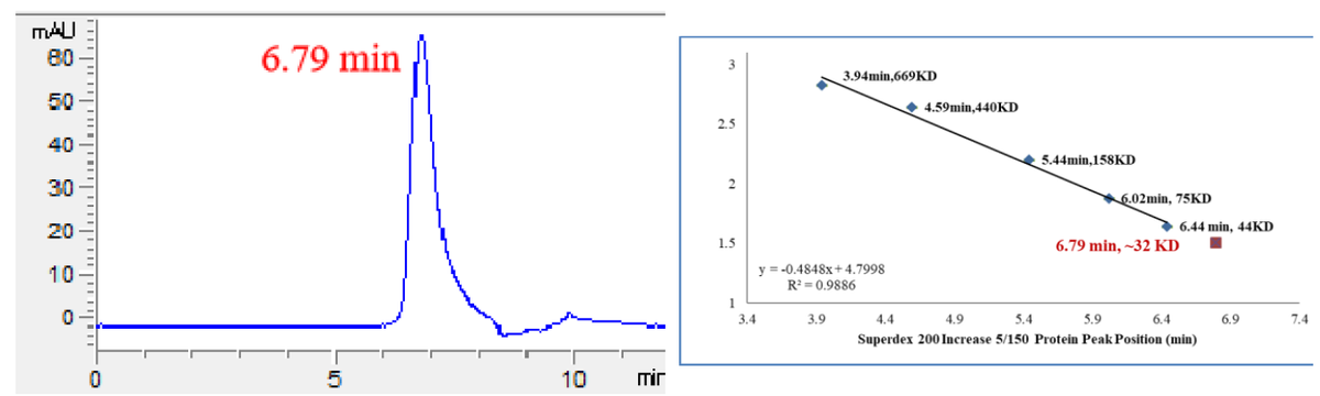 PDPK1 His Tag Protein, Human