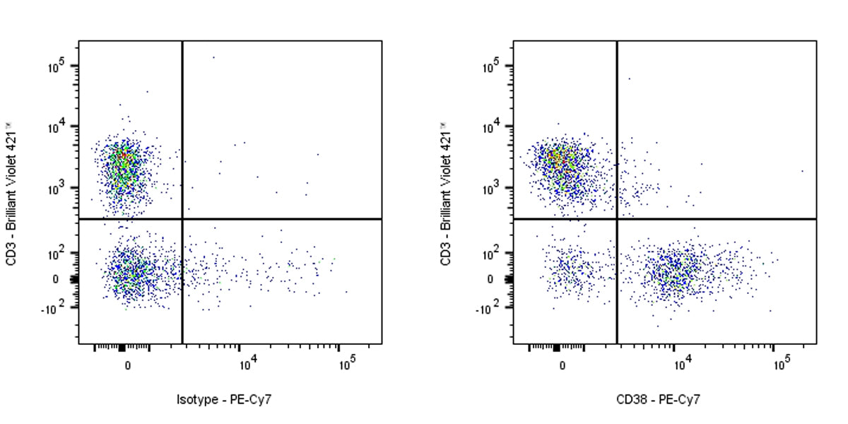 PE-Cy7 Rat Anti-Mouse CD38 Antibody (90)