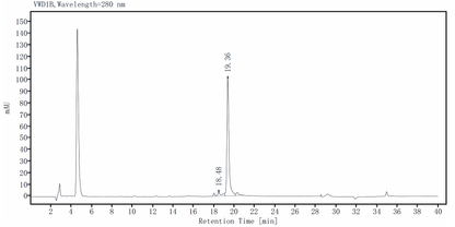 ACSS2 GST Tag Protein, Human