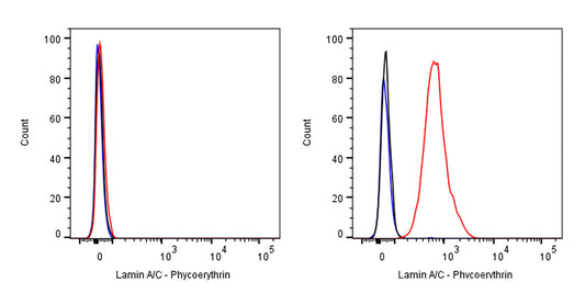 Lamin A/C Recombinant Rabbit mAb (PE Conjugate) (SDT-R041)