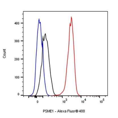 PSME1 Recombinant Rabbit mAb (S-732-14)