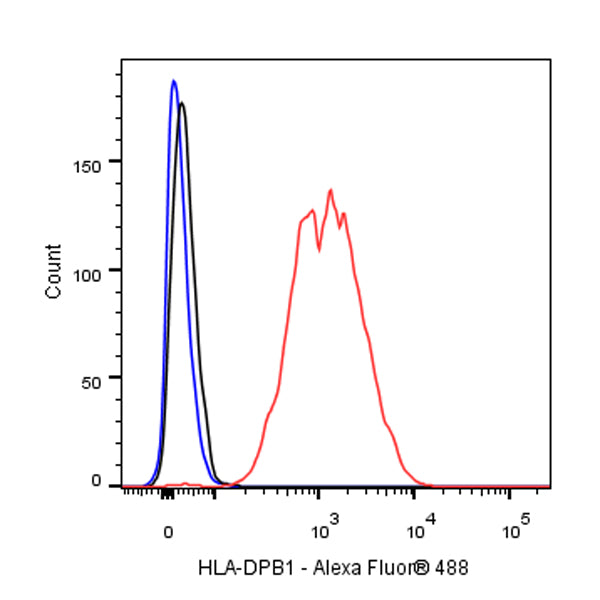 HLA-DPB1 Recombinant Rabbit mAb (S-R263)