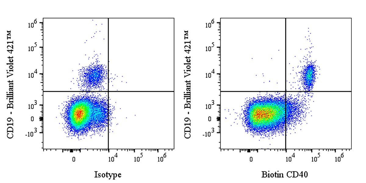 Biotin Mouse Anti-Human CD40 Antibody (G28.5)