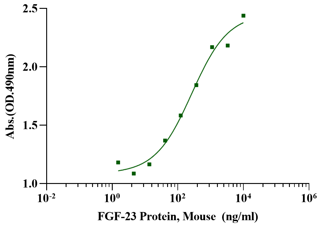 FGF-23 Protein, Mouse