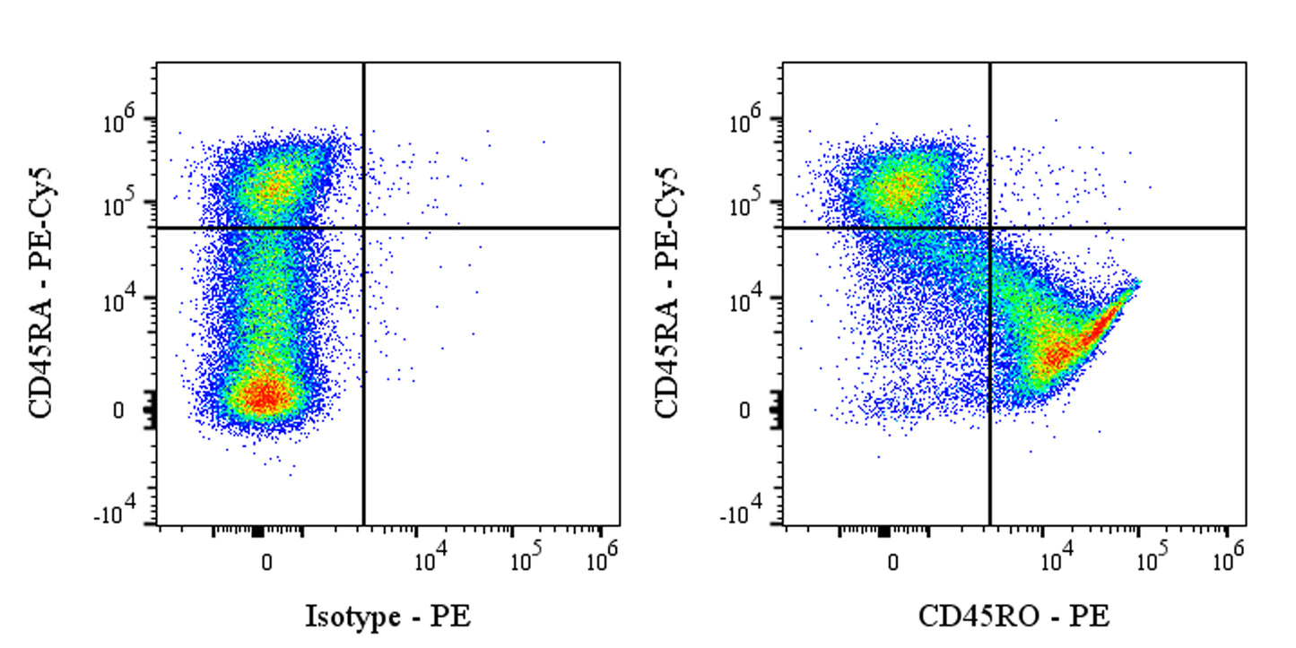 PE Mouse Anti-Human CD45RO Antibody (UCHL1)