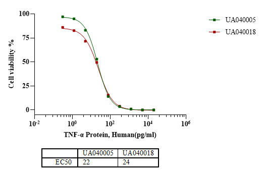 TNF-α Protein, Human