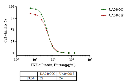 TNF-α Protein, Human