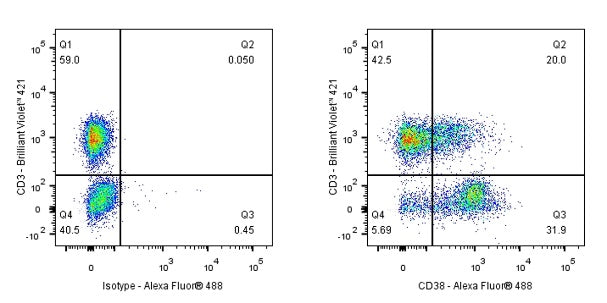 Alexa Fluor® 488 Mouse Anti-Human CD38 Antibody (HB7)