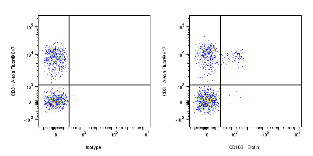 Biotin Armenian Hamster Anti-Mouse CD103 Antibody (S-R692)