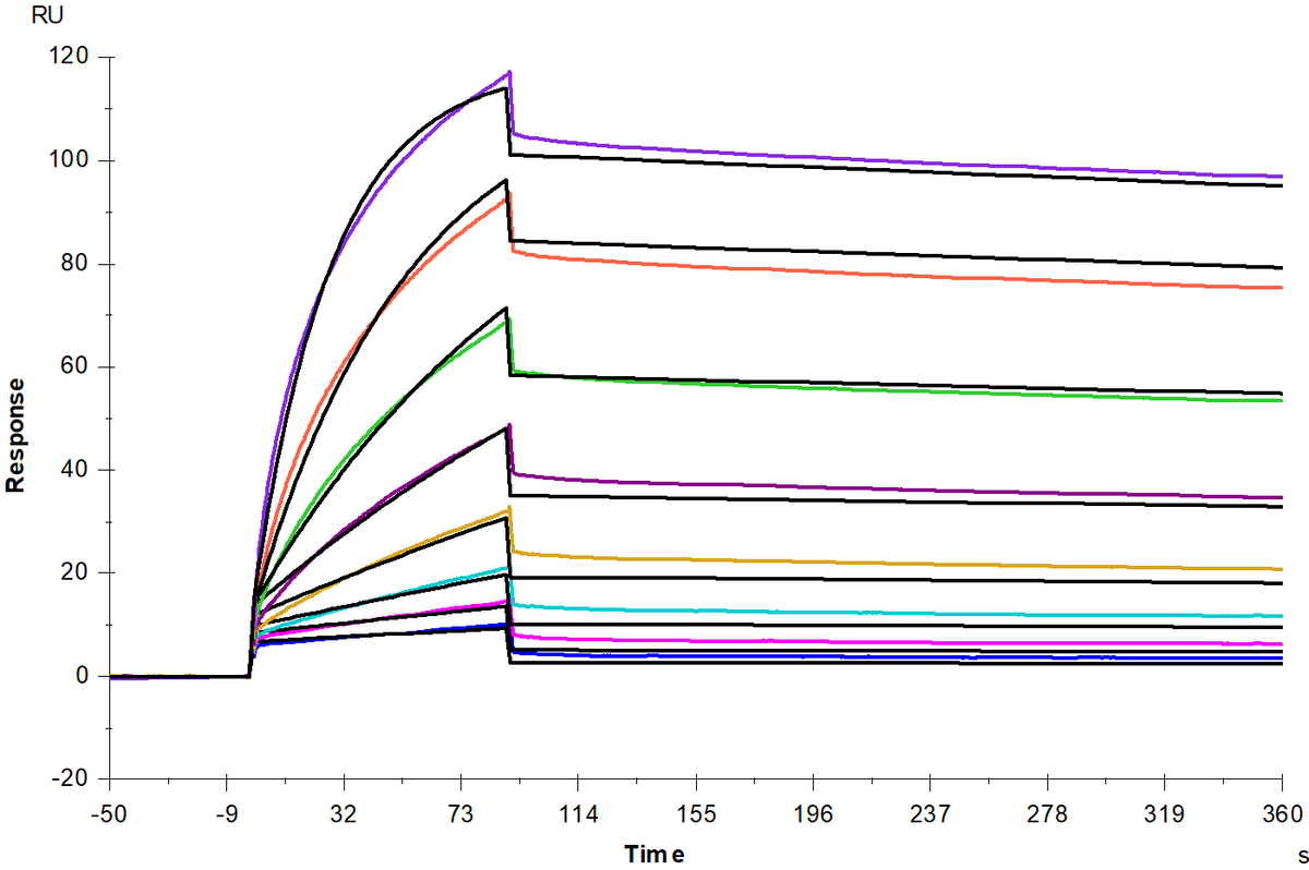 4-1BB Ligand/TNFSF9 His Tag Protein, Rat